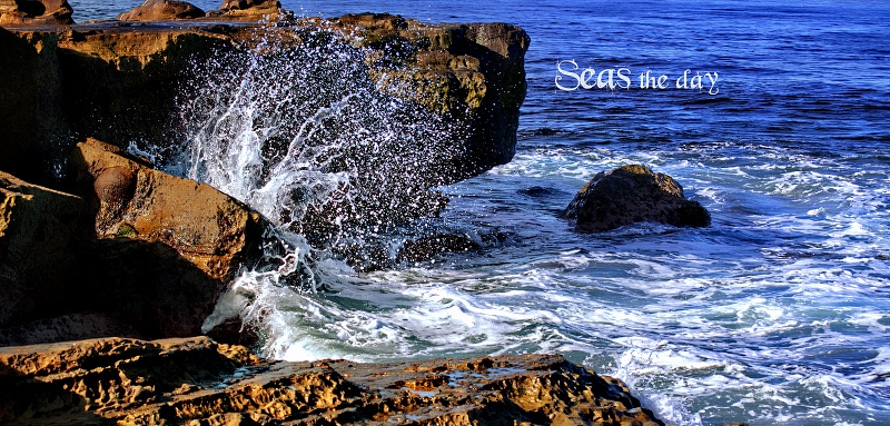 La Jolla seas the day small file.jpg