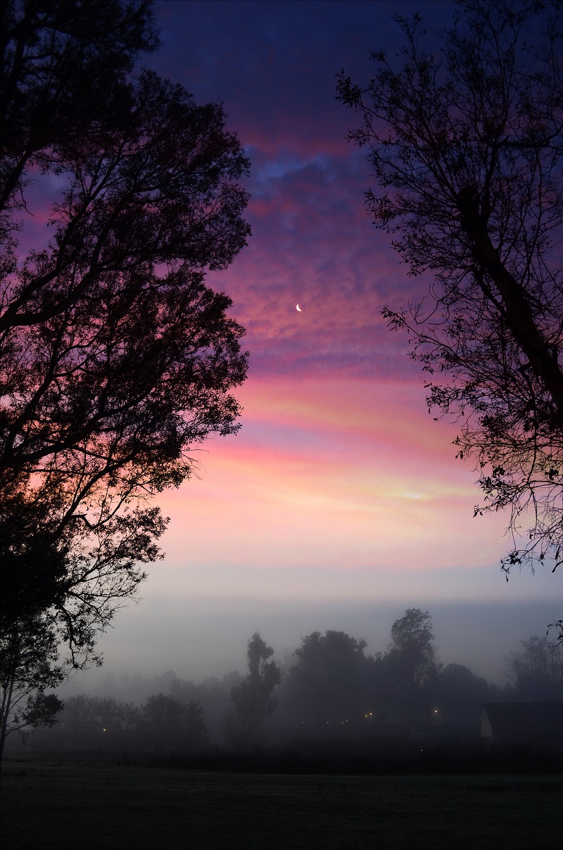 DSC_0284_moon meadow sunrise. small filejpg.jpg