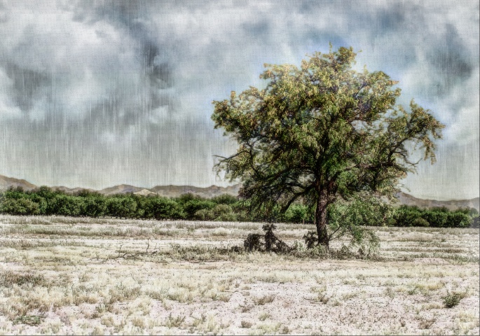 DSC05650_PSP Brighten Shadows_Real Low Color_Landscape Sky Enhancer_Glanour nude_Rain and clouds_Old pastel_pe_pe.jpg