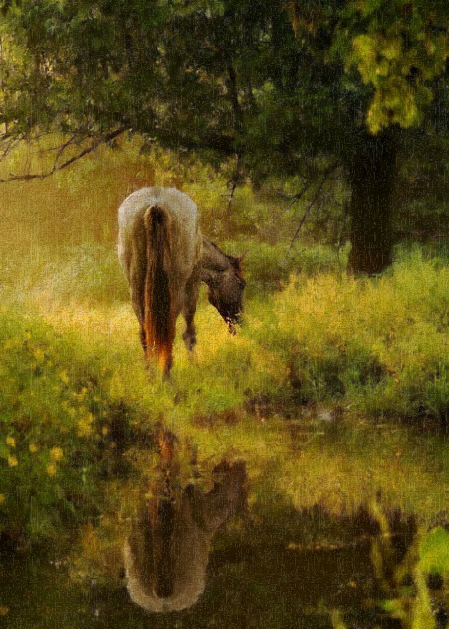 Horse at Dawn.jpg