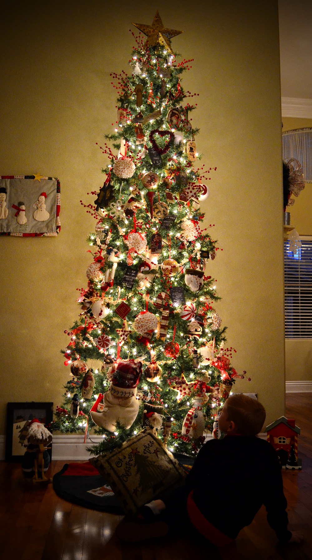 taylor looking at tree 2013 small file.jpg