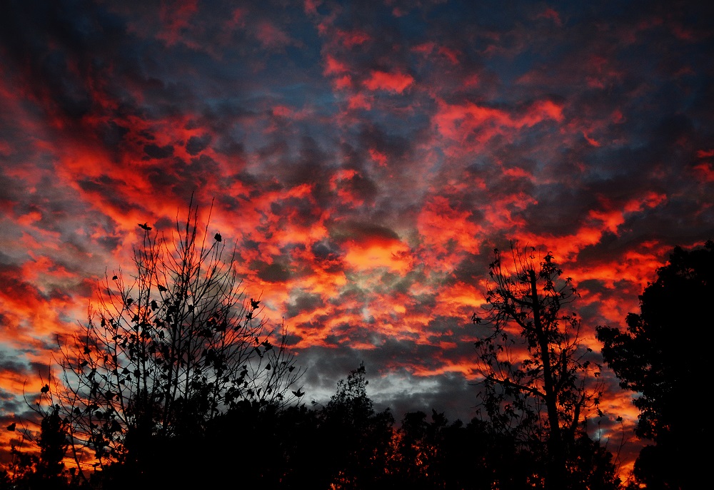 sunrise - 12-17-2013 small file.jpg