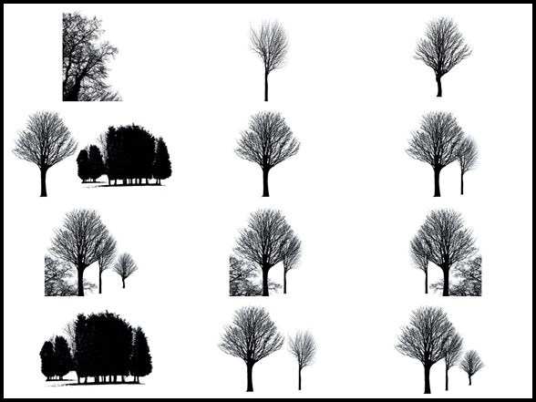 Tree silhouettes series one examples.jpg