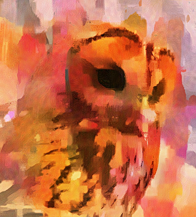 nice owl.jpg