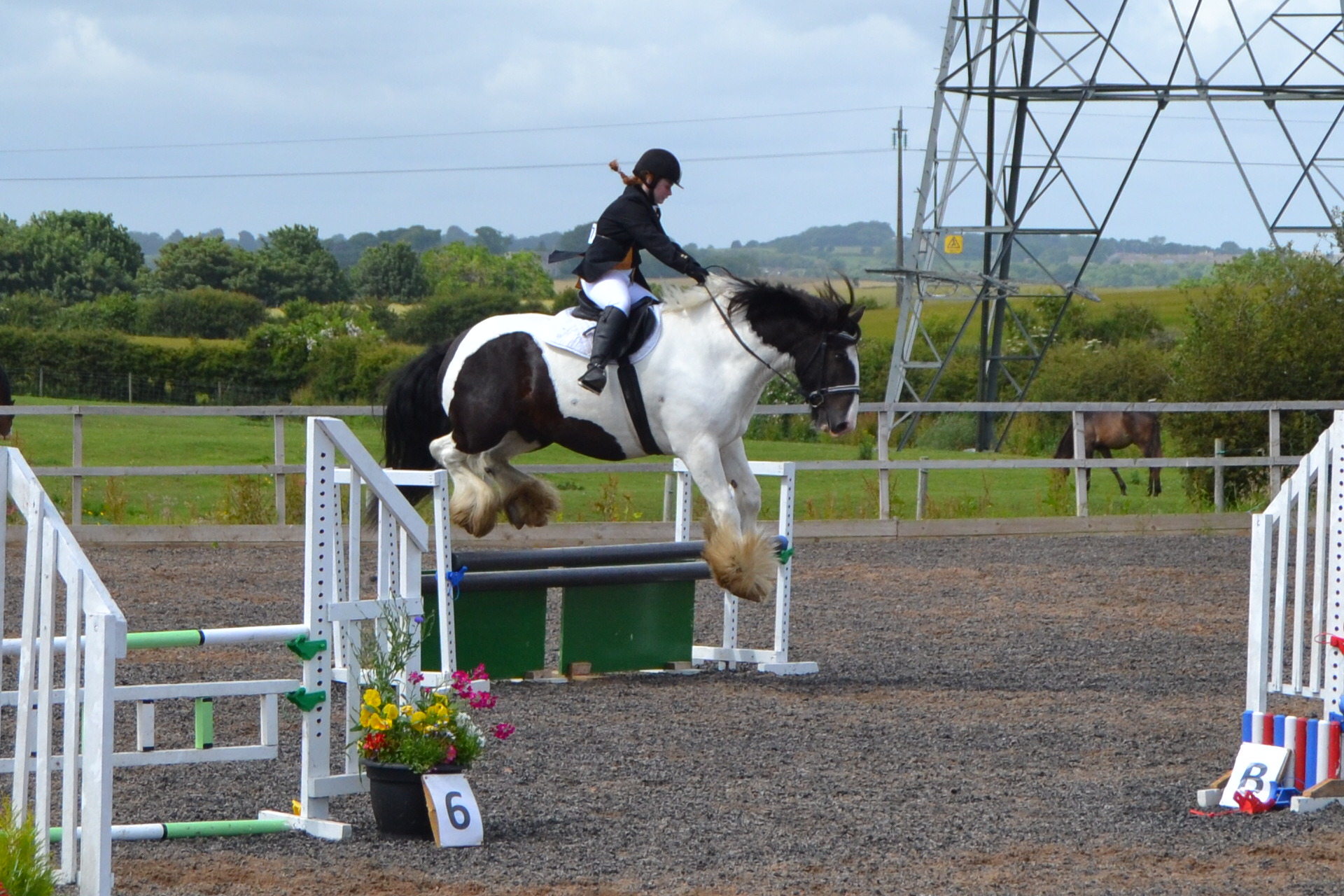 NIKON PHOTOS HORSE SHOW JUNE 2014 199.JPG