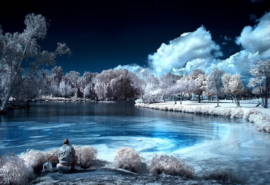 infrared-photography-658.jpg