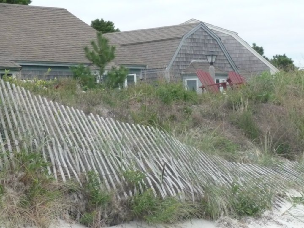 Maine beach.png