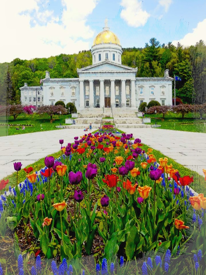 Vt State House_peILL.jpg