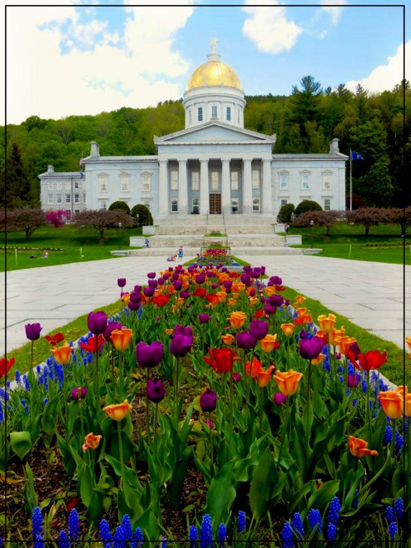 Vt State House_pe.jpg