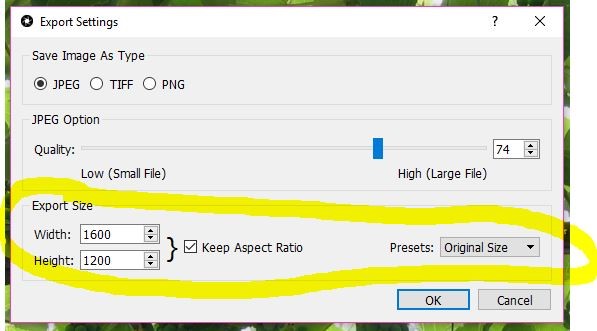 SPE Export Settings.JPG