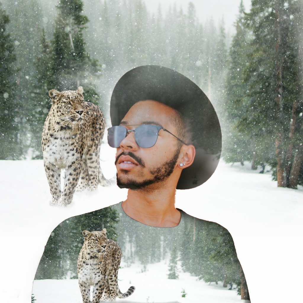 Double Exposure Composite Portrait Landscape Tiger Snow.jpg