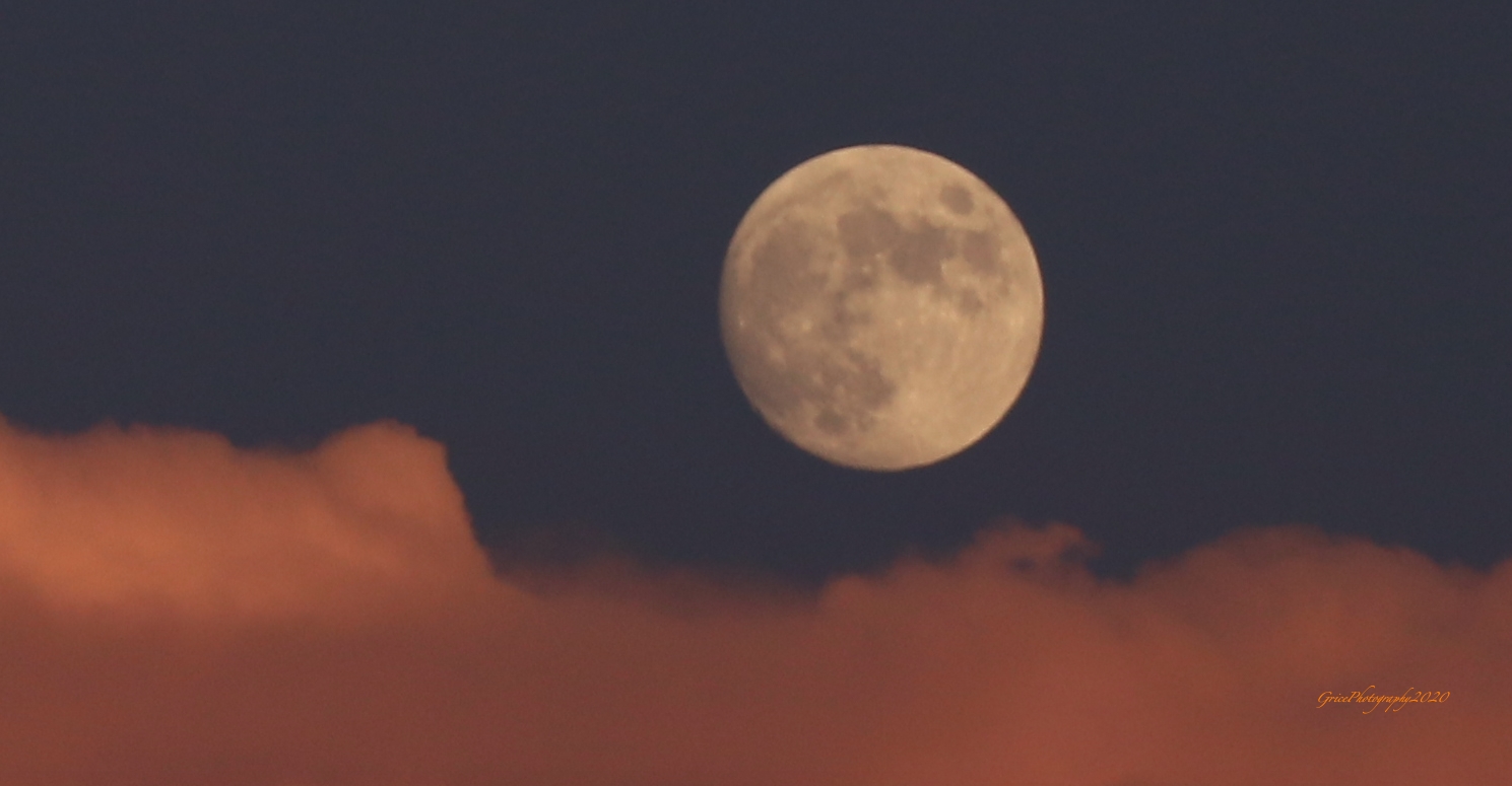 Toronto Moon.jpg