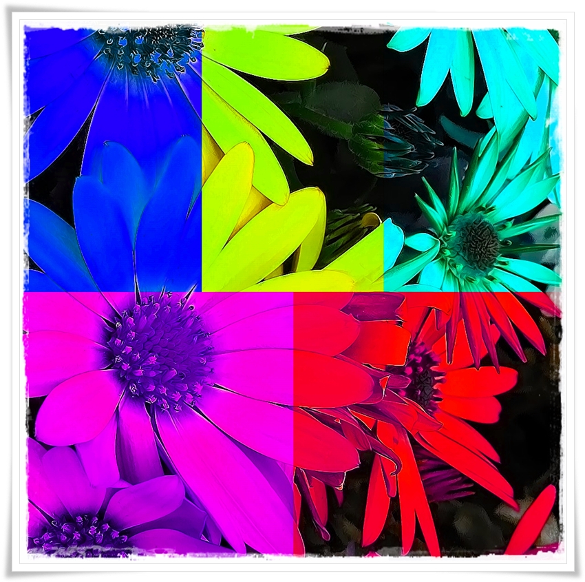 6. Split hues graphic effect 1.jpg