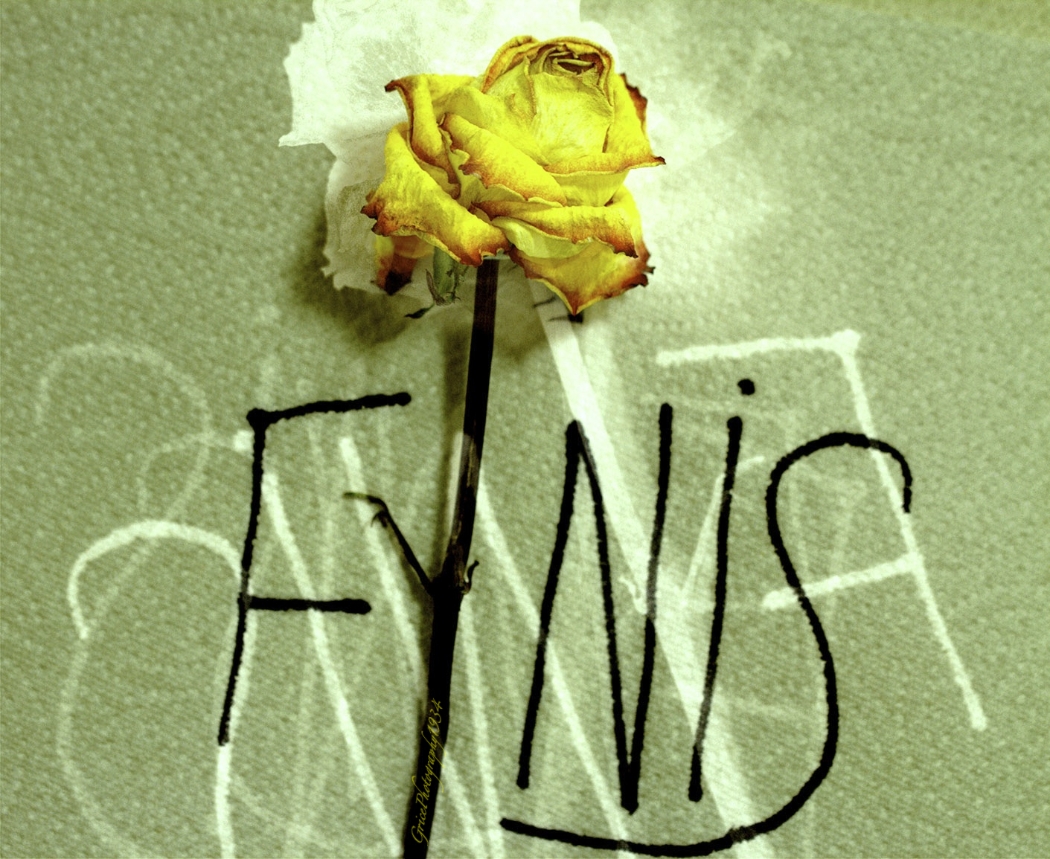 Finis Rose.jpg