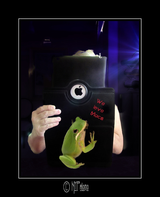 Frogs love Macs.jpg